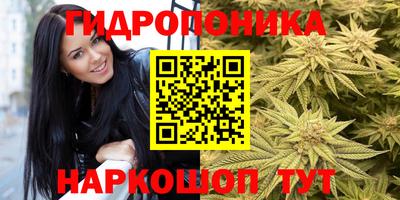 ГАЛЛЮЦИНОГЕННЫЕ ГРИБЫ Абинск