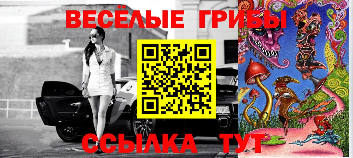 Псилоцибиновые грибы прущие грибы Алексин